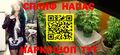 MDMA Сланцы